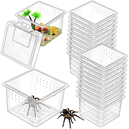 20 Pcs Insect Spider Terrariums Breeding Box