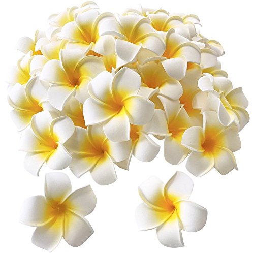 White Foam Hawaiian Frangipani Artificial Plumeria Flower Petals