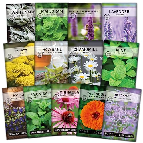 Sow Right Seeds Medicinal Herb Seed Collection