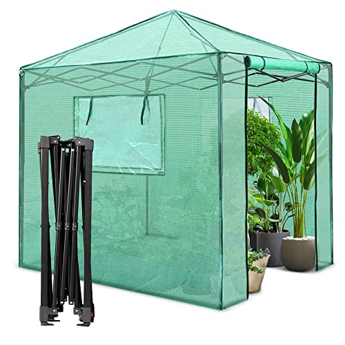 PexFix 8'x 8' Portable Walk-in Greenhouse