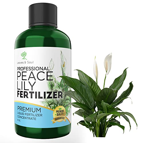 Peace Lily Plant Fertilizer