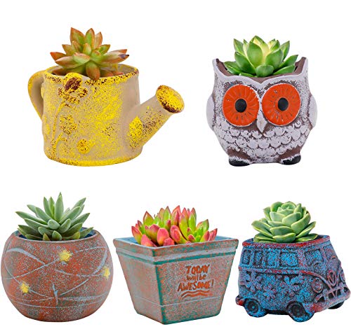 Cute Ceramic Succulent Planter Pot Set