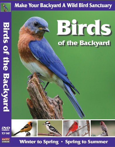 Birds of the Backyard: Create Your Own Wild Bird Sanctuary