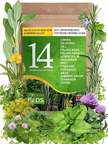 Culinary and Medicinal Herbs Seeds Pack