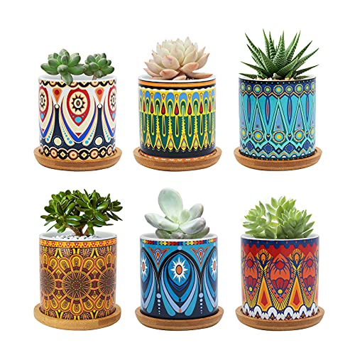 Warmplus Succulent Pots - Stylish and Practical Ceramic Planters