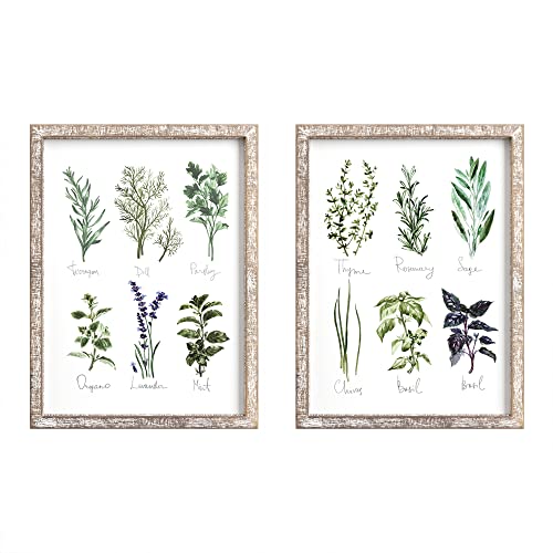 Vintage Herb and Spices Botanical Wood Framed Plaque Bundle