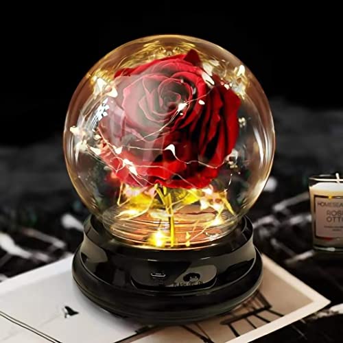 Beauty and The Beast Rose Gift for Women Flower Gifts
