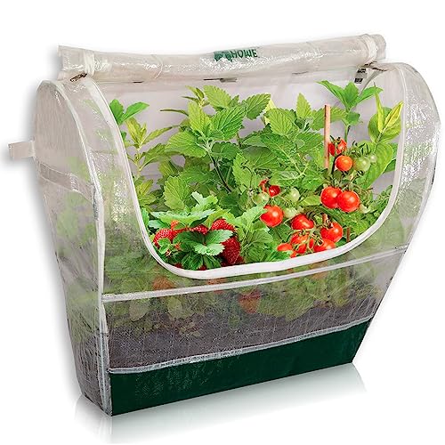Portable Mini Indoor Greenhouse