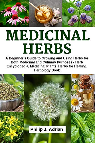 Medicinal Herbs: A Beginner’s Guide to Growing and Using Herbs