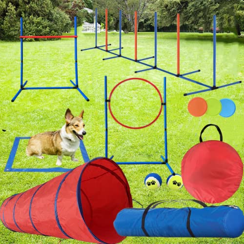 Dog Agility Training Equipment - Fun and Interactive Set
