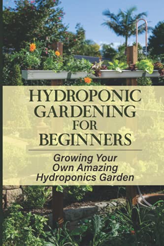 Hydroponic Gardening For Beginners