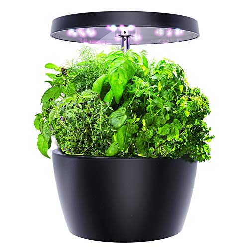 Ecoogrower Smart Garden Hydroponics Kit, Indoor Herb Garden Starter Kit