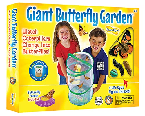 Insect Lore Giant Butterfly Garden - A Magical Learning Experience