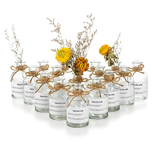 Glass Flowers Bud Vases Clear: 16Pcs - Versatile and Charming Glass Vases for Home Decor, Weddings, and More
