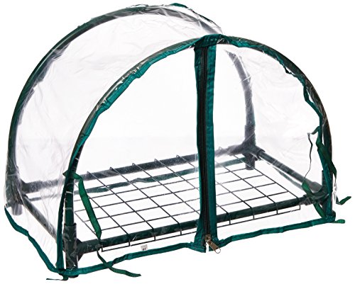 Mini Clear Greenhouse by Zenport