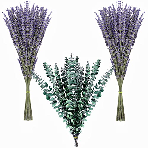 Dried Lavender Flowers and Shower Eucalyptus Hanging Bouquet