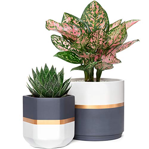 Mkono Ceramic Flower Pots for Indoor Plants