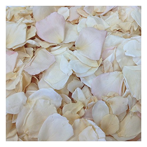 Flyboy Naturals Shabby Chic Rose Petal Blend