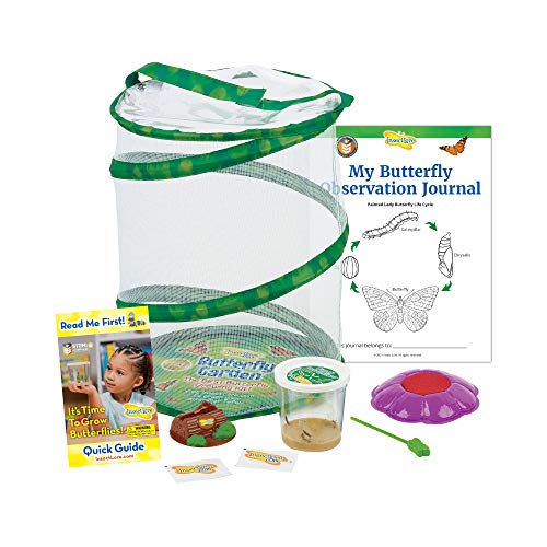 Butterfly Garden Science Kit