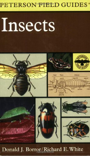 Field Guide to Insects (Peterson Field Guides) - A Comprehensive Resource for Insect Identification