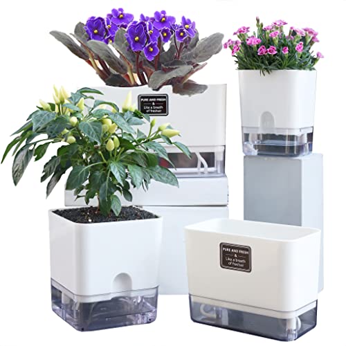 FAMZ Self Watering Planters: Automatic Moisturizing Flower Pots for Indoor and Outdoor Plants