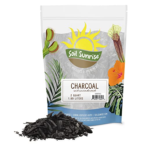 Horticultural Charcoal for Indoor Plants