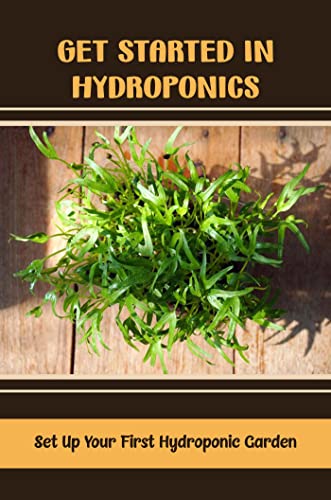 Hydroponic Gardening Guide: Set Up Your First Garden