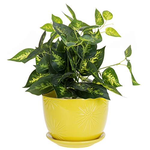 Yellow Ceramic Indoor Plant Pot