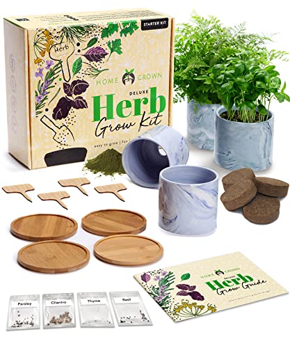4 Herb Garden Starter Kit: Complete Indoor Grow Kit
