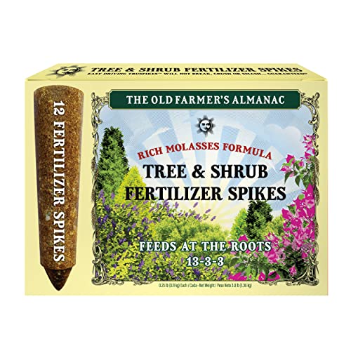 Tree & Shrub Fertilizer Spikes
