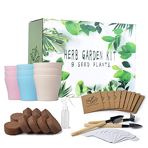 DIY Indoor Herb Garden Starter Kit