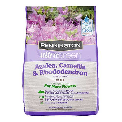 Pennington UltraGreen Azalea, Camellia & Rhododendron Plant Food