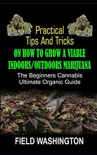 How to Grow: A Viable Indoors/Outdoors Marijuana