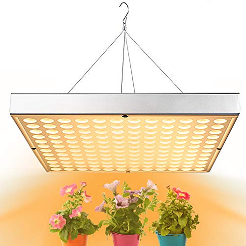 Shengsite LED Grow Light: Full Spectrum Indoor Plant Lamp
