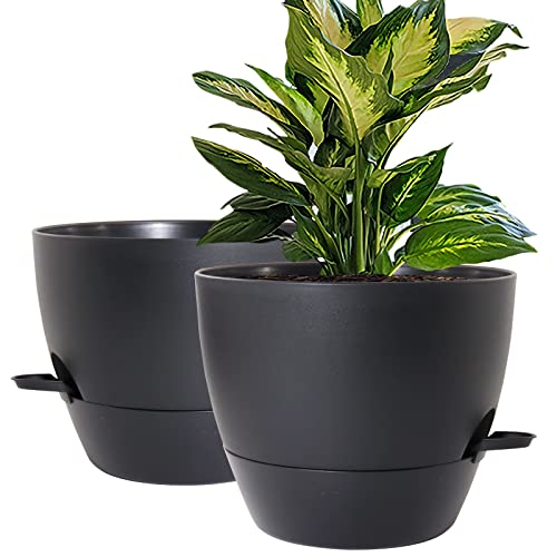 WOUSIWER 10 inch Self Watering Planters