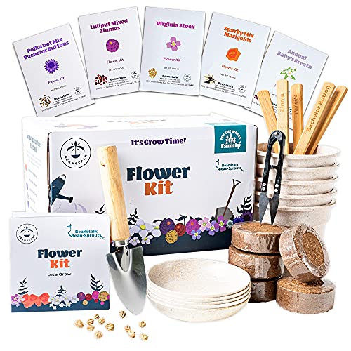 Flower Growing Kit by Beanstalk