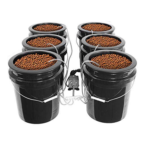 HTG Supply Bubble Brothers DWC Hydroponic System