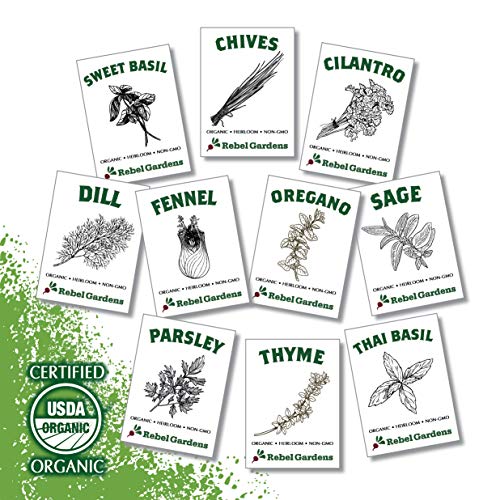 Certified Organic Herb Seeds - 10 Culinary Varieties Pack