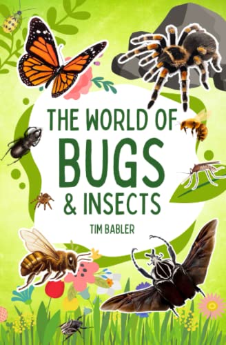 A Kid's Guide to the World's Most Fascinating Insects