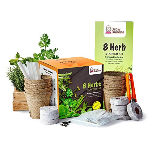 Grow Buddha Herb Seeds Variety Pack