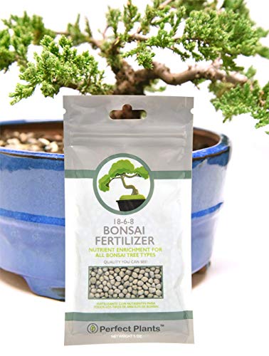 Bonsai Fertilizer by Perfect Plants - 5 Year Supply
