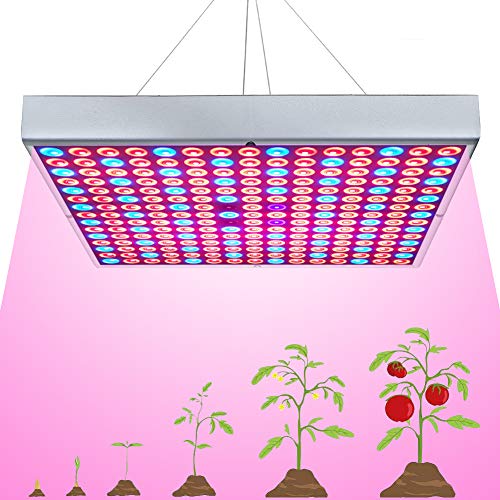 LED Grow Light for Indoor Plants