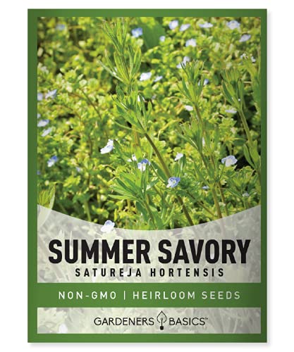 Summer Savory Seeds for Planting