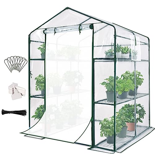 Quictent Walk-in Greenhouse - Mini Portable Clear Green House