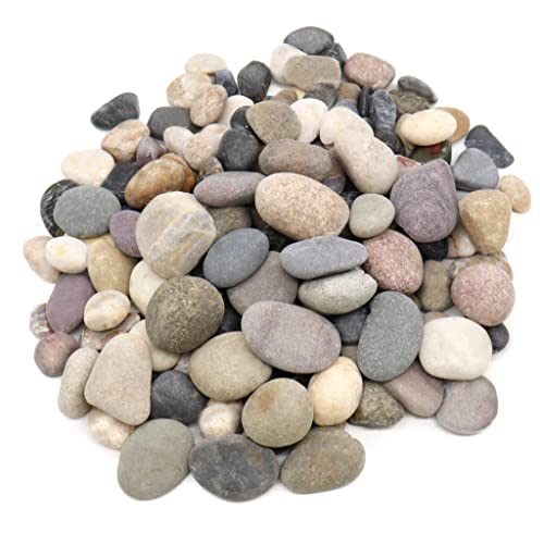 Multi-Colored Rocks for Plants, Gardens, and Crafts