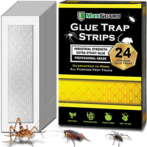 MaxGuard Glue Trap Strips (24 Traps) - Non-Toxic Sticky Glue Board for Insects, Bugs, and Rodents