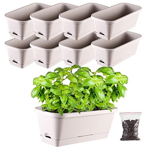 Large Window Box Planters - 8-pack Indoor Herb Garden