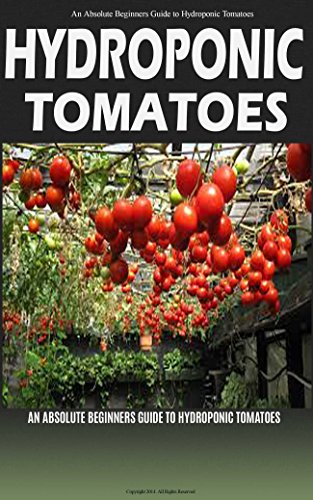 Hydroponic Tomatoes: A Complete Guide