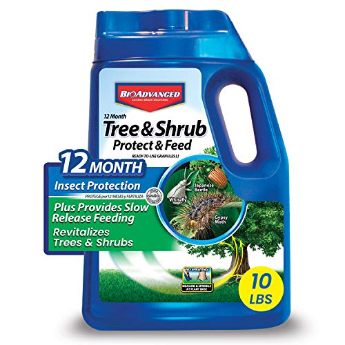 BioAdvanced 12-Month Tree and Shrub Protect & Feed