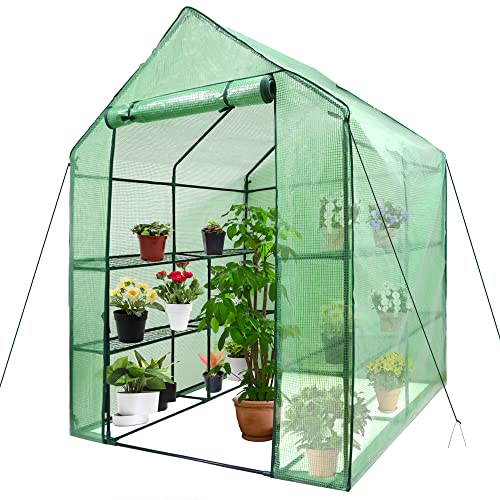 Nova Microdermabrasion Walk-in Greenhouse